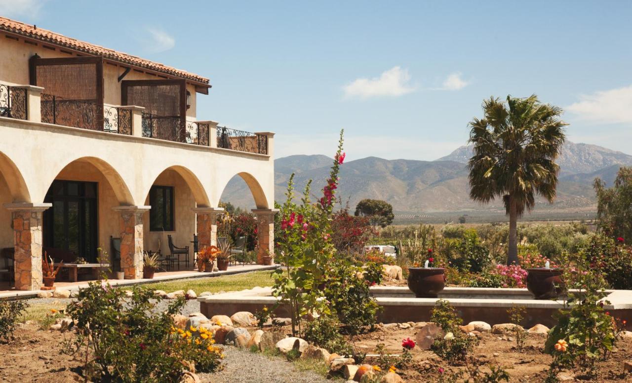 La Villa Del Valle Valle de Guadalupe Exteriér fotografie