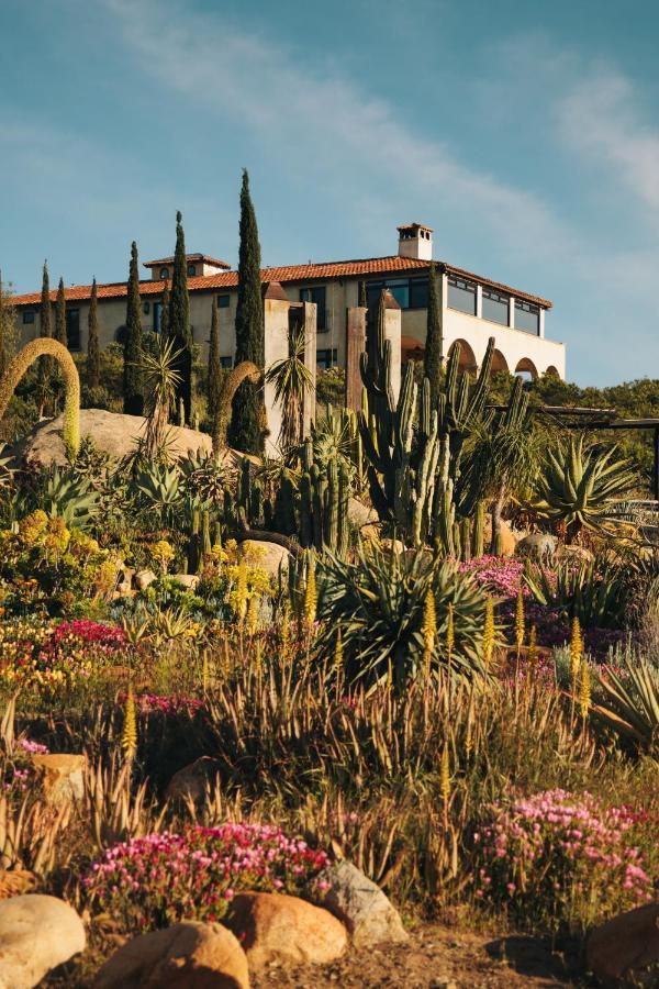 La Villa Del Valle Valle de Guadalupe Exteriér fotografie